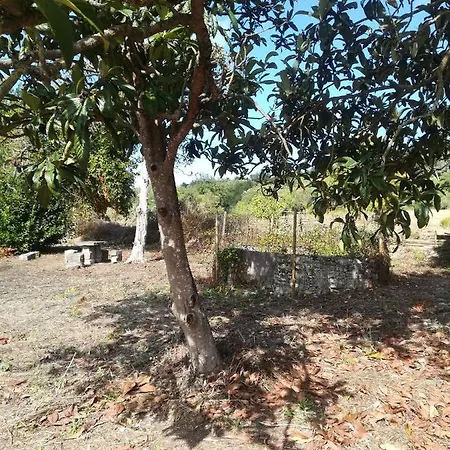 Casa Da Rocha Guest house