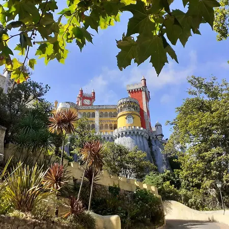 בית הארחה Casa Da Rocha
